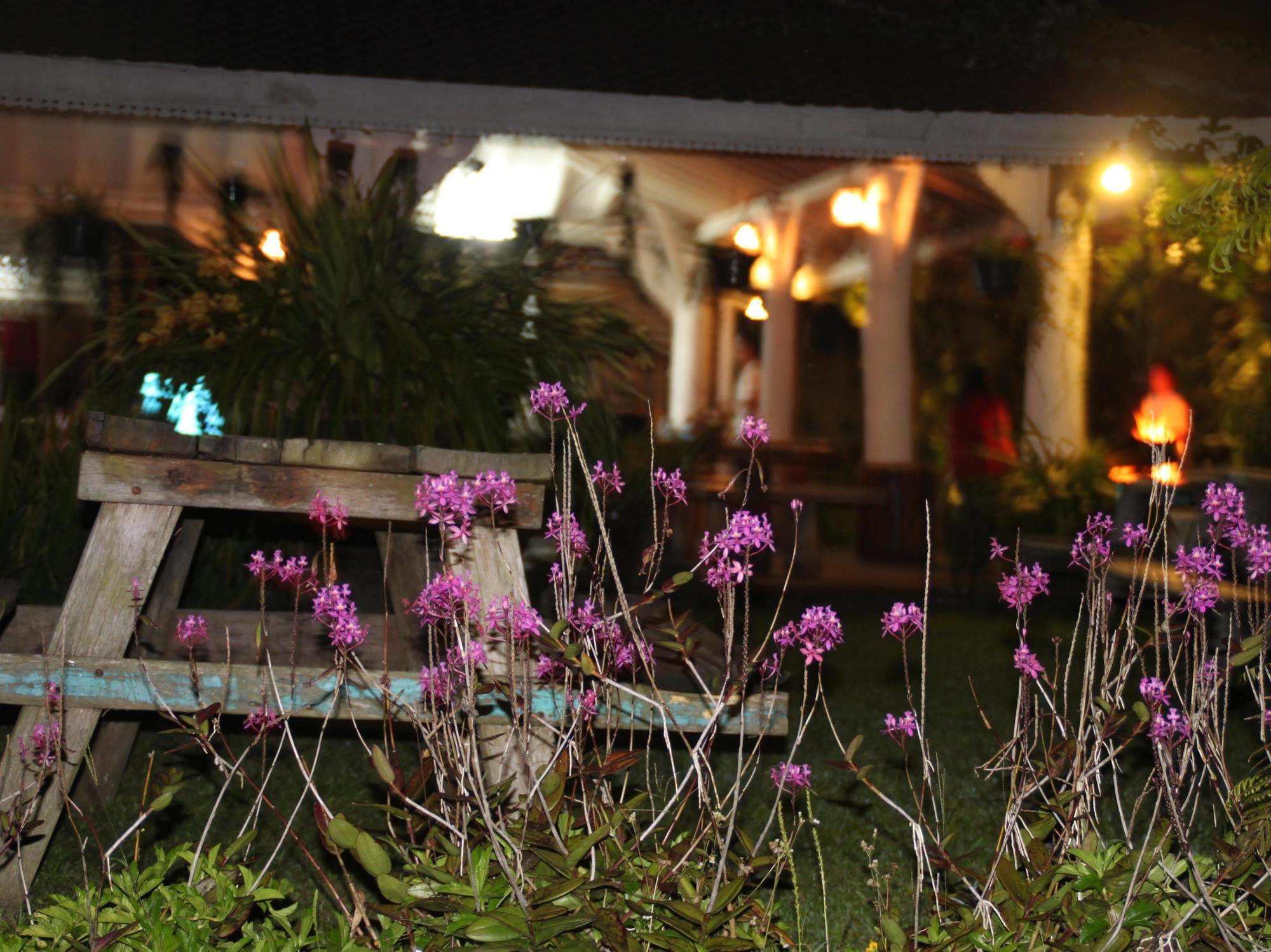 Warung Rekreasi Bedugul Hotel Exterior foto