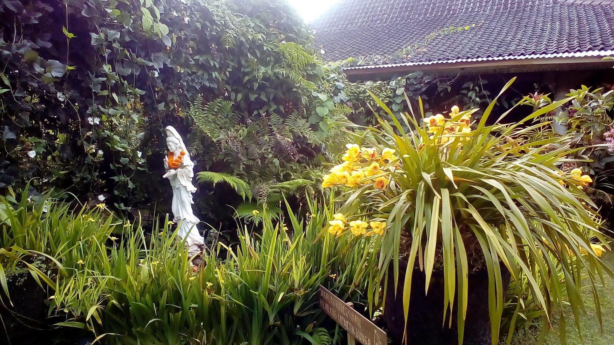 Warung Rekreasi Bedugul Hotel Exterior foto